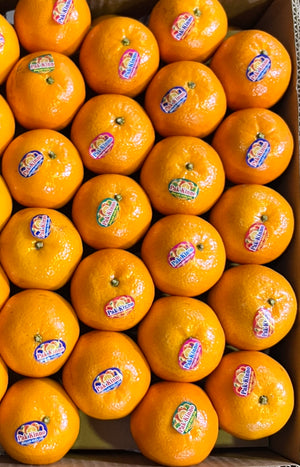 Premium Kinnow Mandarin Oranges