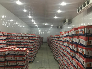 Premium Kinnow Mandarin Oranges