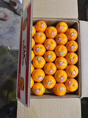 Premium Kinnow Mandarin Oranges