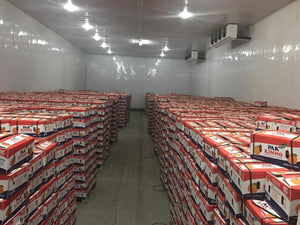 Premium Kinnow Mandarin Oranges